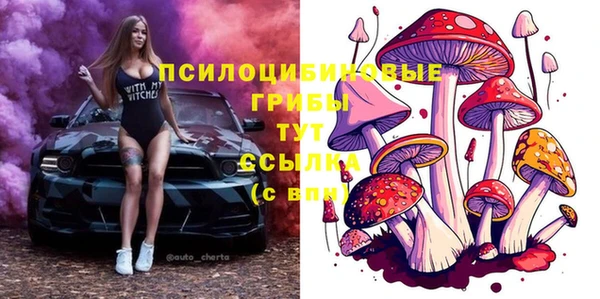 экстази Осташков